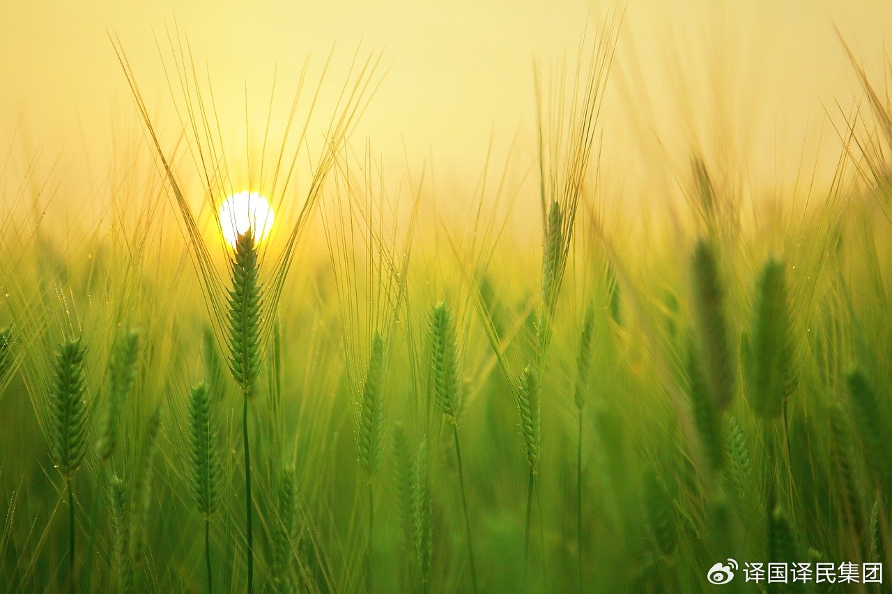 恒峰g22 - 官网入口 -- 每天有惊喜